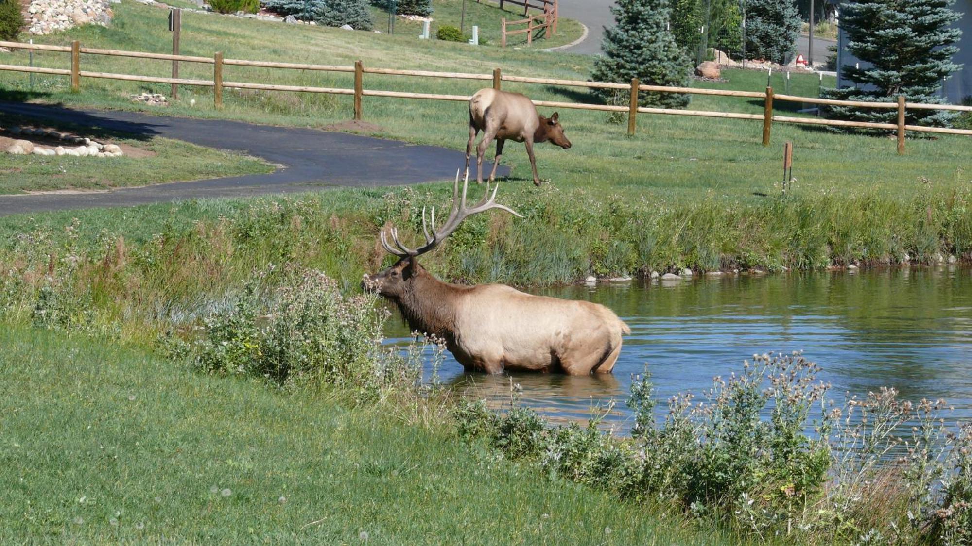 Discovery Lodge Estes Park Exteriér fotografie