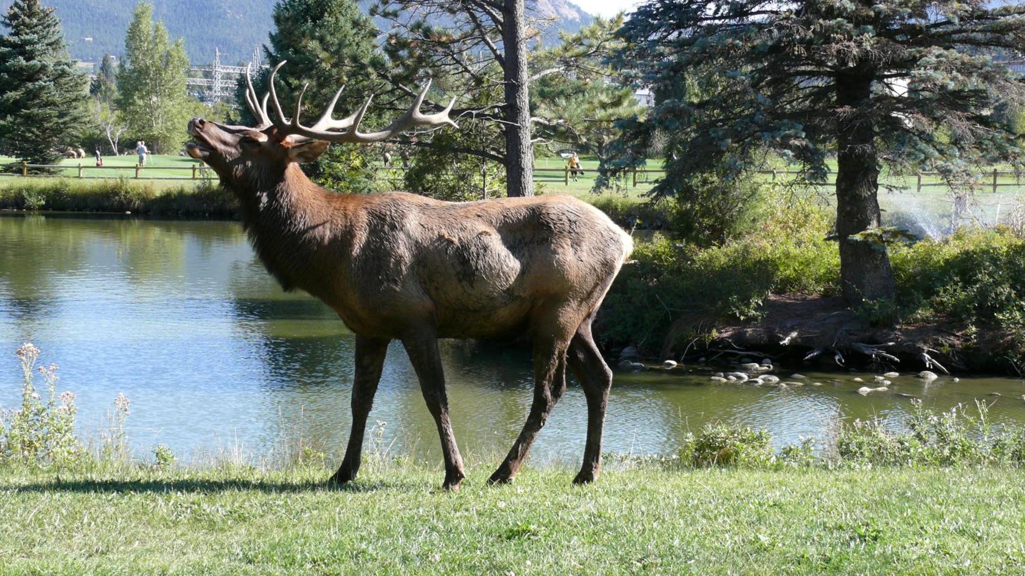 Discovery Lodge Estes Park Exteriér fotografie